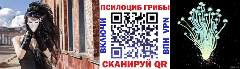Купить где  Нурлат  Галлюциногенные грибы прущие грибы 